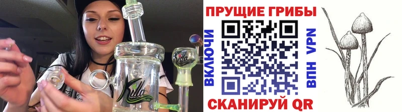 Галлюциногенные грибы прущие грибы  Балей 